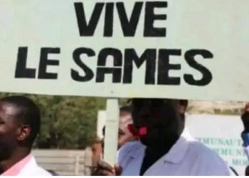 Urgence à Simal (Fatick) : Effondrement du pont, appels poignants des habitants