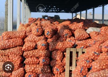Tabaski 2024, le sac de l’oignon et de la pomme de terre à portée…