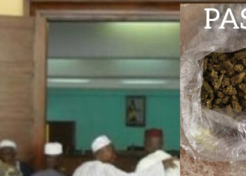 Mbour : La nouvelle drogue dénommée «Pastef »