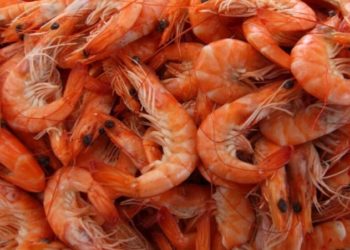 crevettes contaminées retirés dans le marché européens