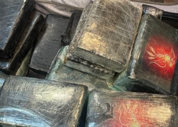 Nouvelle saisie de de 36 plaquettes d’un poids de 40,3 kilogrammes  de cocaïne d’une contrevaleur de 3 milliards 200 millions de francs CFA. à l’AIBD