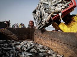 SENEGAL: L’UNAMS DEMANDE UNE RÉFORME DU SECTEUR DE LA PÊCHE ET UN SOUTIEN ACCRU DU GOUVERNEMENT