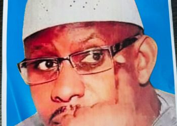 DU NOUVEAU DANS LE LANDERNAU POLITIQUE- LA COALITION FARLU