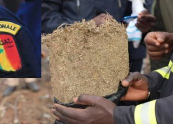 Rufisque: un dealer tire sur les policiers