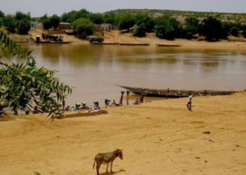 Risque de débordement du fleuve Sénégal et de la Falémé : danger au nord du pays