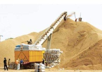 Kaolack/ projet de suspension du marché de l’exportation de l’arachide : les opérateurs crient au scandale