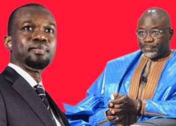 CHEIKH YÉRIM SECK POURSUIVI POUR DIFFUSION DE FAUSSES NOUVELLES ET DIFFAMATION