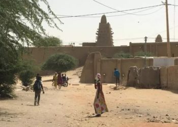 Mali: des enfants tués dans des frappes de drone à Inadjatafane,