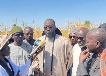 Lagane 2024 : Saliou SARR fils de Samuel Sarr assure la relève et rassure.