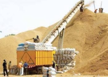 CAMPAGNE DE COMMERCIALISATION 2024-2025 | LA SONACOS VISE UNE COLLECTE DE 300.000 TONNES D’ARACHIDE