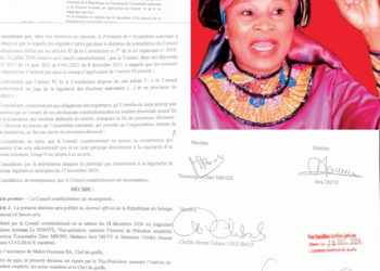 LE CONSEIL CONSTITUTIONNEL SE DÉCLARE INCOMPÉTENT.