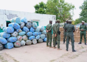 Une d’importantes quantités de chanvre indien et de faux médicaments pour une contrevaleur totale estimée à plus de 103 millions de francs CFA saisis.