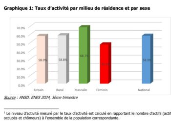 Rapport ANSD: 20,3% est le taux de chômage au 3e trimestre en 2024