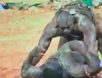 Zarco Réduit en Cendres le Tigre de Fass