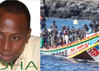 Migration irrégulière : ADHA déplore une politique de continuité dans l’échec