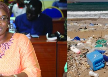 Pr Khady Diouf Goudiaby relève les menaces sur l’environnement marin.