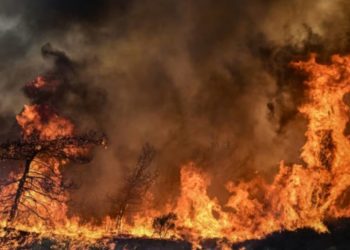 BANTACO : Un incendie remporte environ 300 maisons.