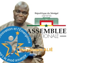 UN MOTIF DE REJET INOPÉRANT PAR STÉPHANE NDIONE [Président du Mouvement ALIÉ Alliance pour le Leadership, l’Innovation et l’Émergence ).