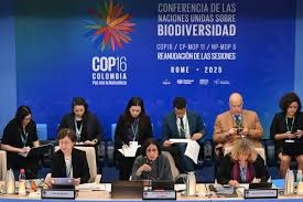 16ᵉ conférence mondiale sur la biodiversité (COP16) à Rome.