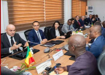 Vidéo-Les chiffres, FMI et nous… Suite et fin [par papa Malick Ndour]