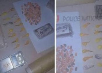 SAISIE DE DROGUES À OUAKAM : Interpellation de trois individus en possession de produits illicites par L’OCTRIS