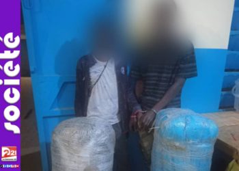 BABA GARAGE | DEUX INDIVIDUS ARRÊTÉS AVEC 51 KG DE CHANVRE INDIEN LORS D’UNE PATROUILLE NOCTURNE.