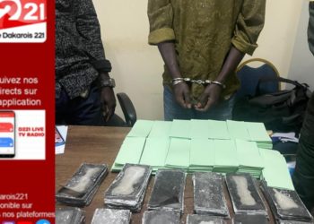 Plus de 6milliards 744 millions de francs CFA en billets noirs saisis par la Douane