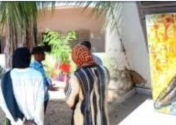 Bakary Sarr salue le dynamisme des acteurs culturels à la Rencontres internationales des arts de Saint-Louis (Rias)