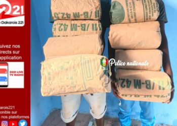 Le Commissariat central de Ziguinchor a procédé à l’interpellation de deux individus en possession de huit (08) kg de chanvre indien.