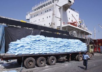 A savoir sur le riz de la Covid :