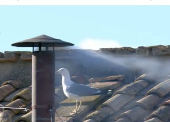 fumée blanche au Vatican, un nouveau pape a été élu