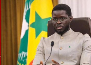 Création d’entreprises : le nombre d’entreprises nouvellement immatriculées a chuté de 4,2 % entre 2023 et 2024