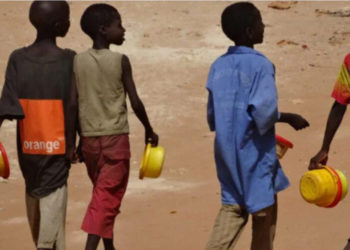 Morts de quatre talibés après avoir consommé une plante