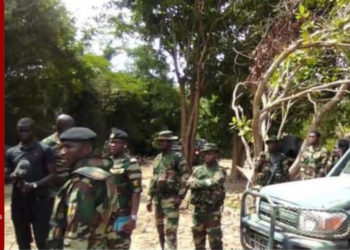 Casamance : accrochage entre l’armée et des supposés éléments du MFDC à Djibidione