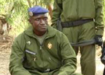 La Gendarmerie Nationale organise son 1er Championnat de Cynotechnie les 24 et 25 mai 2025