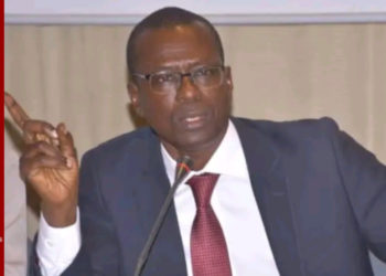 LE PROFESSEUR ALIOUNE SALL nommé VICE-PRÉSIDENT DE LA COMMISSION DU DROIT INTERNATIONAL DE L’ONU