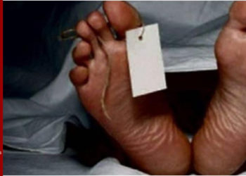 Le corps d’un jeune homme retrouvé pendu dans la forêt classée à keur massar