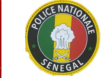 Démantèlement d’un réseau de faux documents administratifs à Pikine