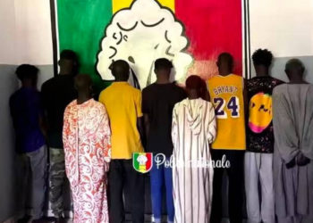 La police interpelle Neuf individus à Kaolack pour plusieurs infractions