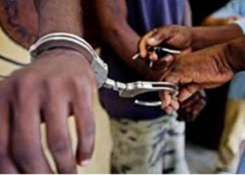 Grand-Médine : quatre ressortissants guinéens arrêtés pour …