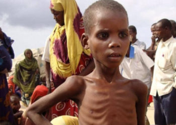 Grave crise alimentaire en Somalie
