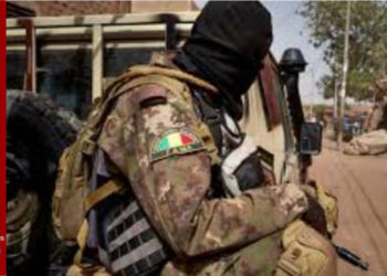 Mali : L’armée et le groupe Wagner accusés de meurtres contre les civils peuls