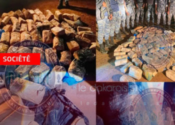 Trafic de drogue à Thiès : une course-poursuite nocturne, un 4×4 abandonné et 92 paquets de chanvre saisis.