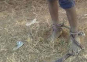 Du nouveau dans l’affaire concernant les enfants enchaînés dans un enclos