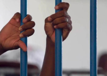 Trafic de faux visas, 2 personnes arrêtées