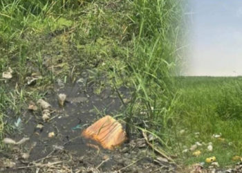 Les mises en garde d’un environnementaliste contre les risques de dégradation du lac de Guiers