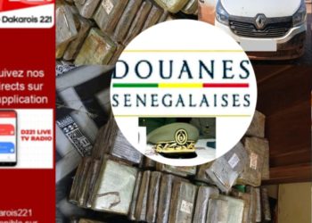 Saisie de 240 plaquettes de cocaïne à Kalifourou