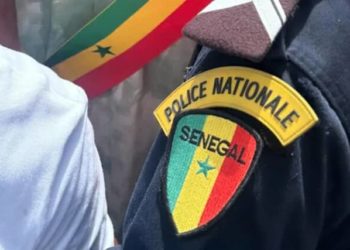 Entre procédures et réalités de terrain : le défi de la coordination de la lutte antidrogue