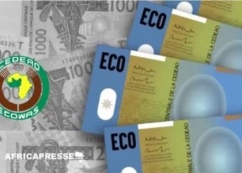 CEDEAO : Lancement de la monnaie unique Eco en 2027