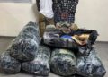 Thiaroye-sur-Mer : 300,5 kg de chanvre indien saisis par la Brigade de recherches de Keur Massar
